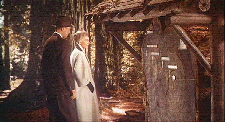 Vertigo - Communing With The Redwoods