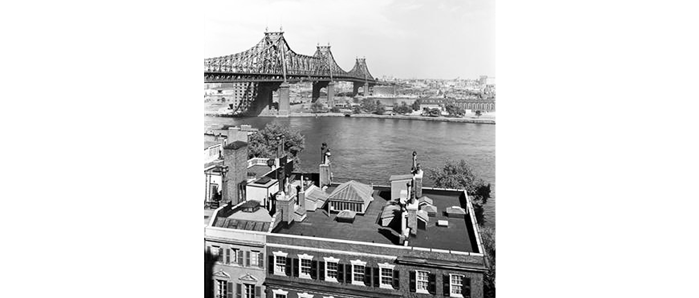 The House On Telegraph Hill - From Belsen To New York City