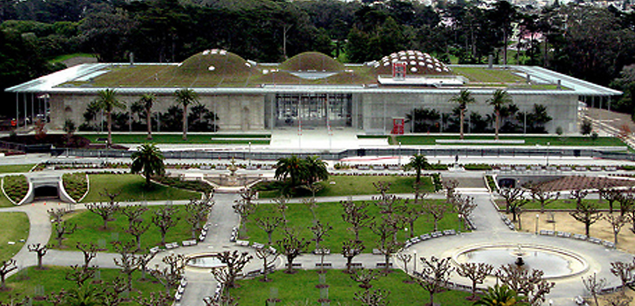 The Lineup - Steinhart Aquarium and De Young Museum