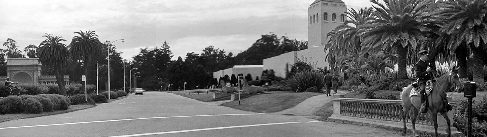 The Lineup - Steinhart Aquarium and De Young Museum