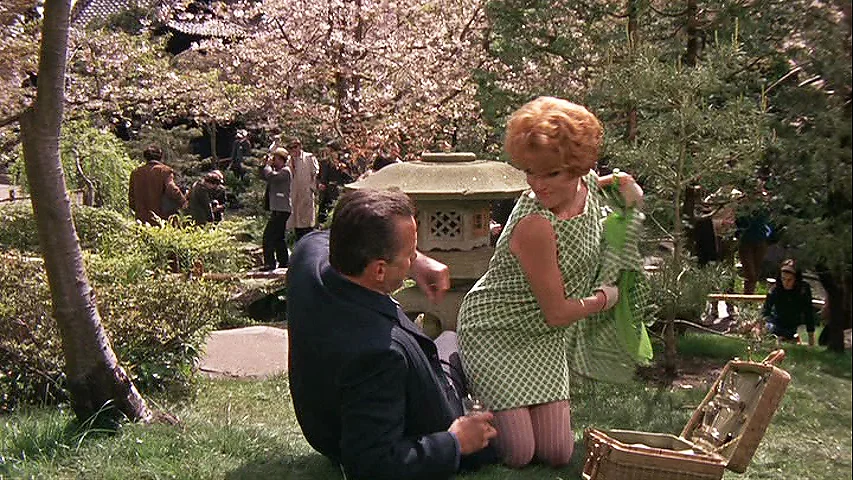 Petulia - Picnic in the Park