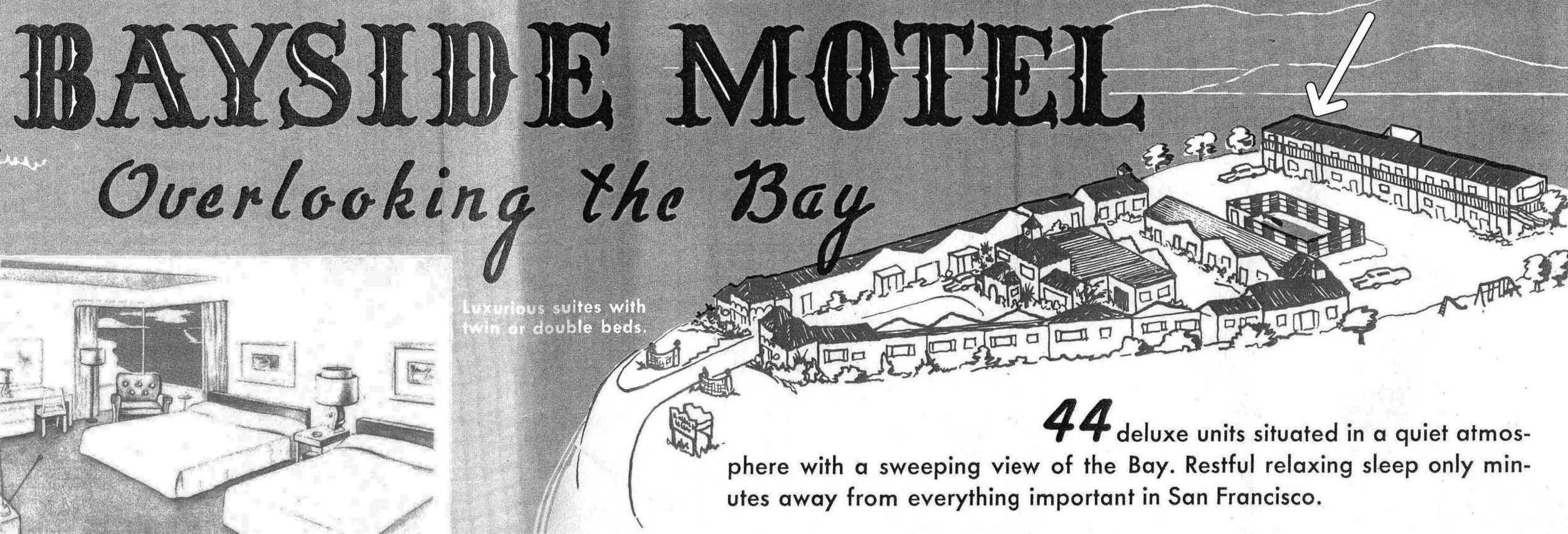 The Lineup - Motel With A View