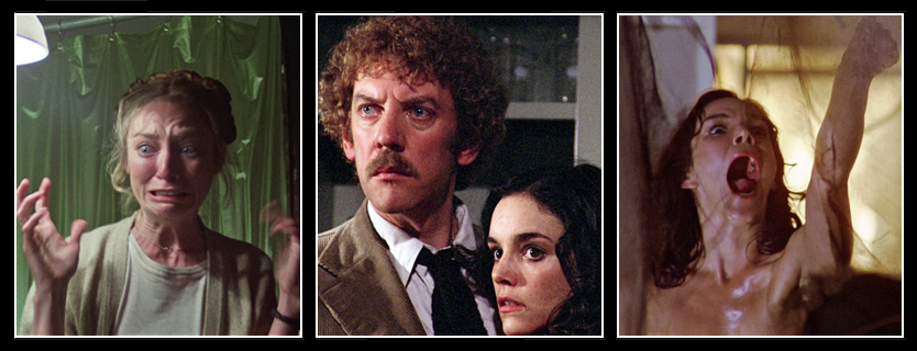 Invasion Of The Body Snatchers (1978) — Reel SF