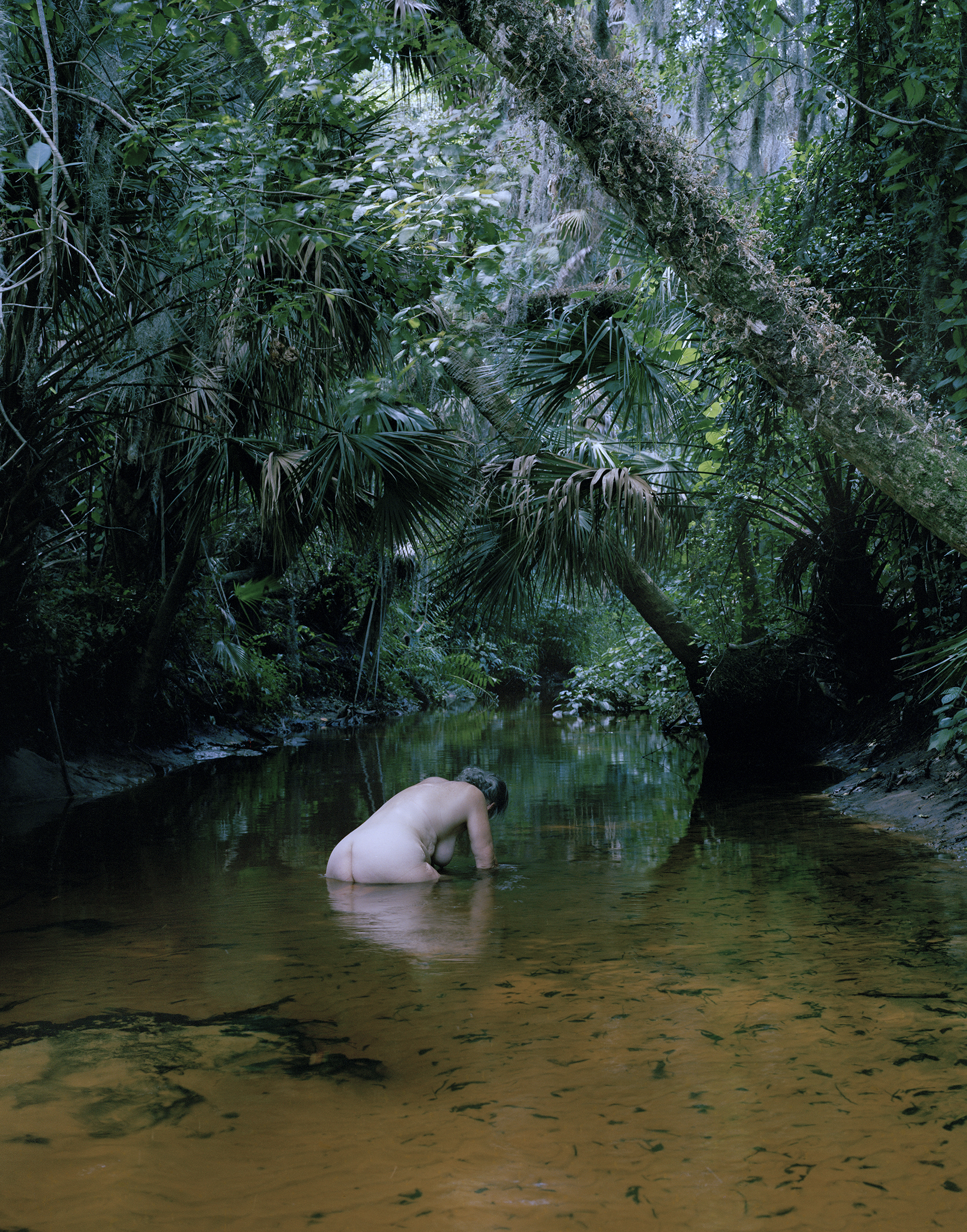 Abzug 1. Esther Teichmann, Untitled from Fractal Scars, Salt Water and Tears, C-type print, 2015