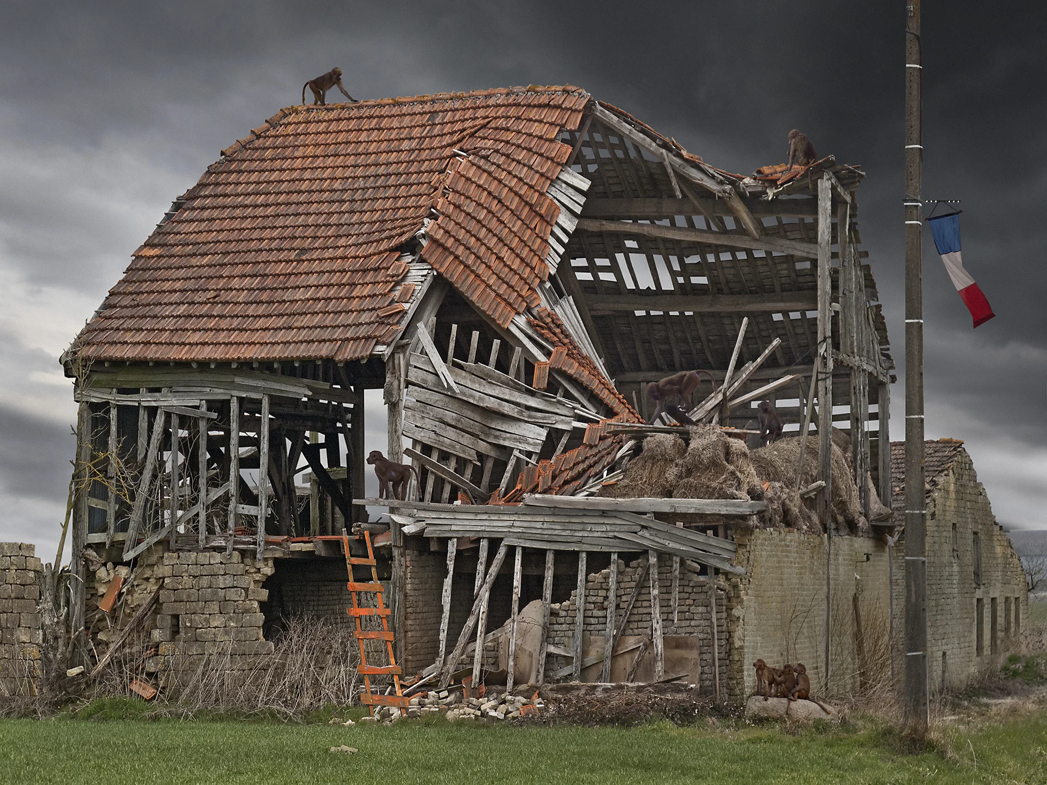 Gerhard Vormwald, Affenhaus