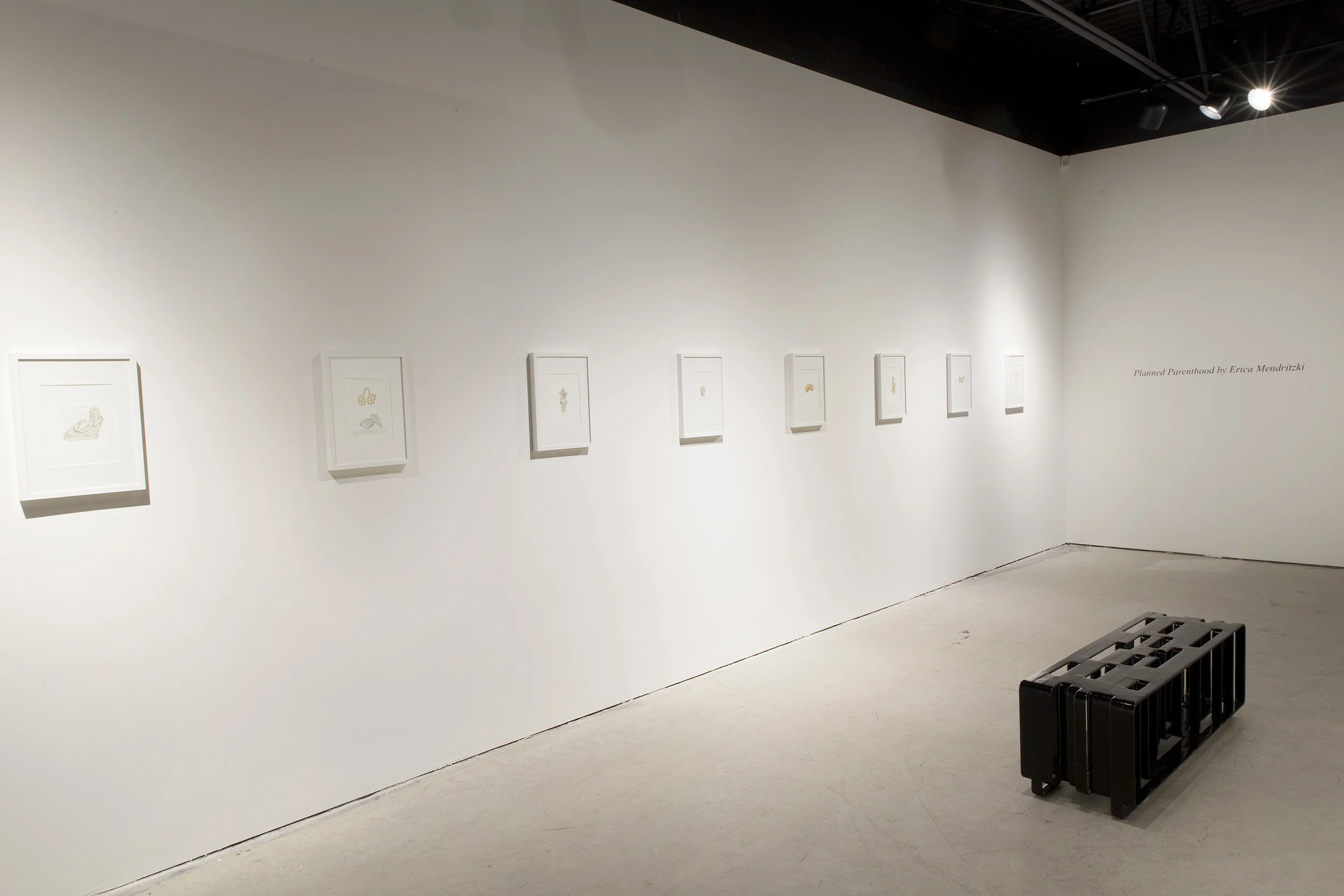 Planned Parenthood, Actual Gallery, Winnipeg