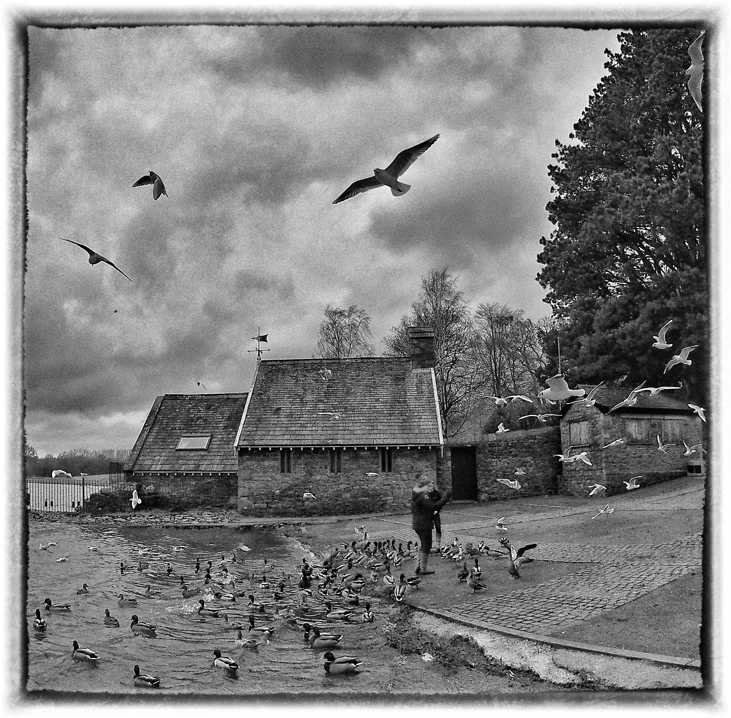    Keswick Jetties 27Jan OMD/7.5   