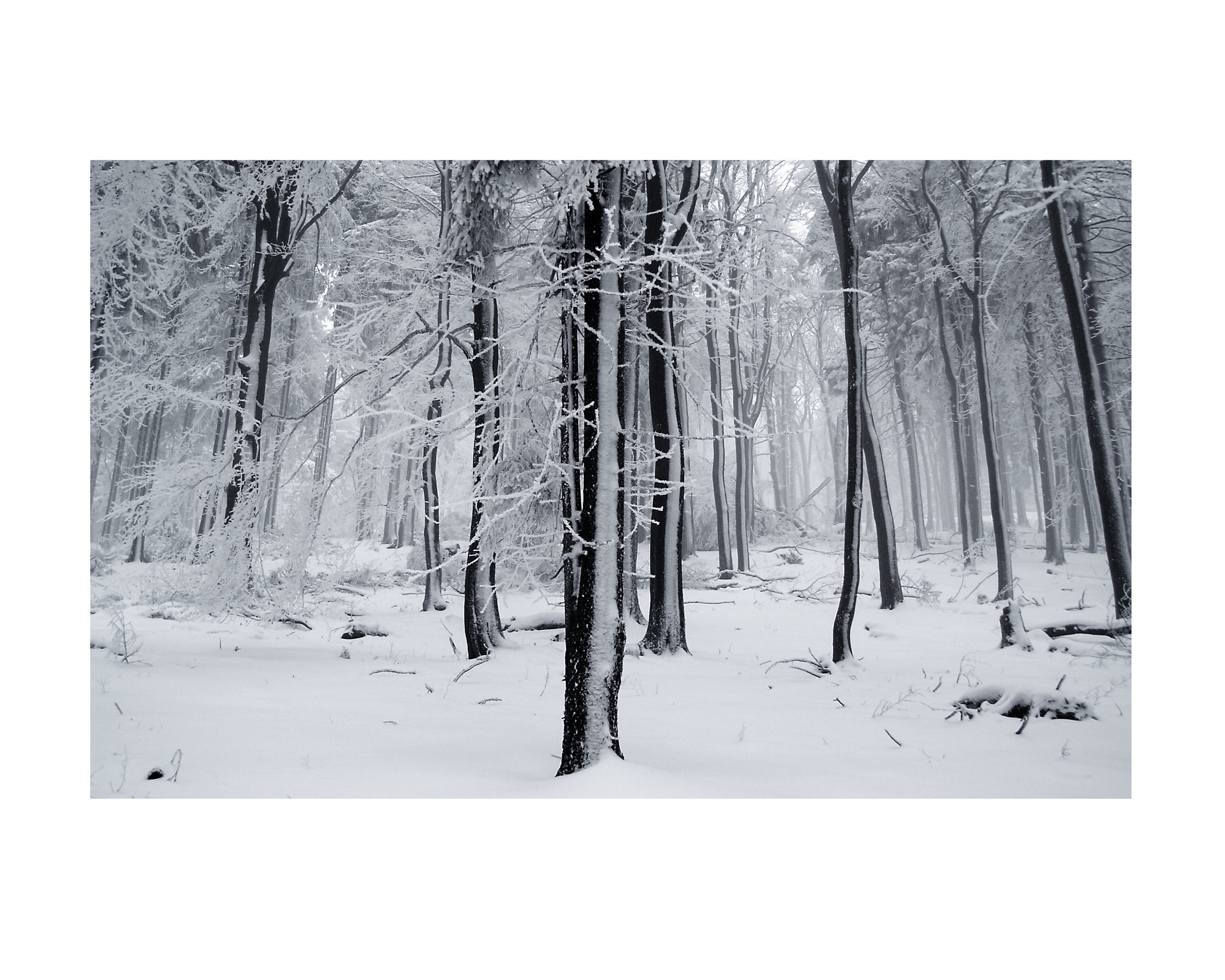    Feldberg, Hessen Feb11   