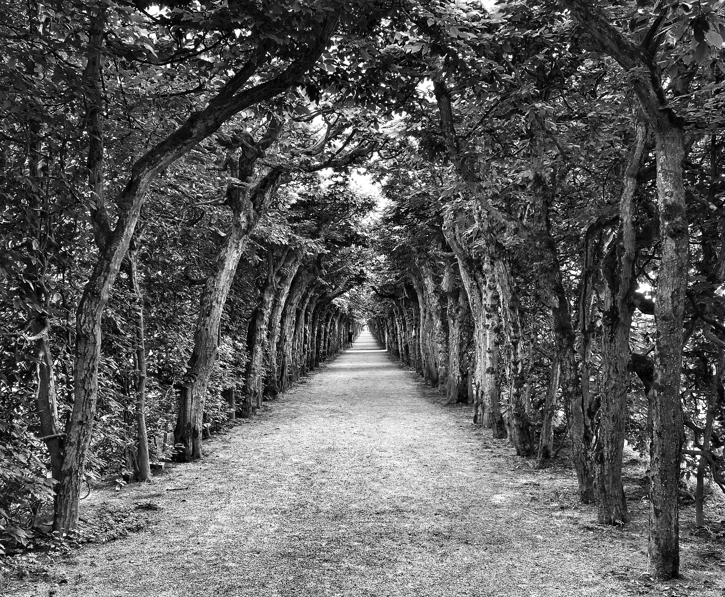    Eremitage Bayreuth 15June13 Sony RX100   