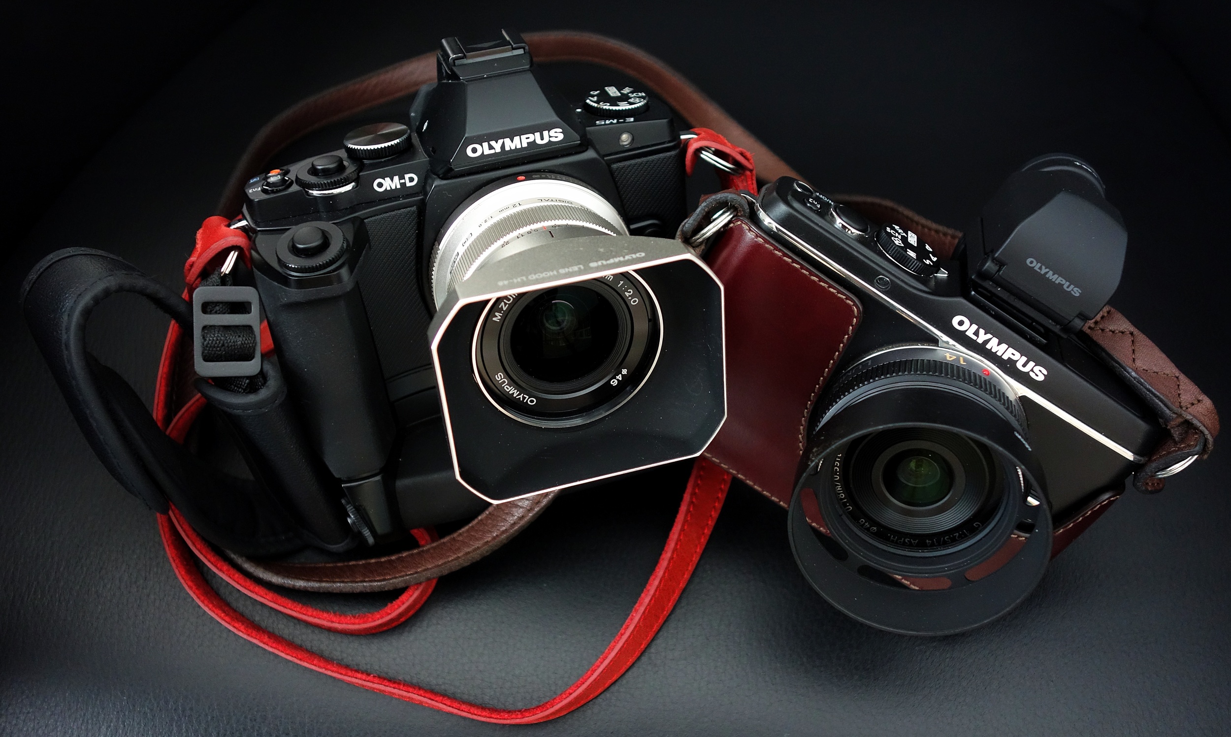    Sporting a magnesium alloy body, weather sealing, a 16MP sensor, 5-axis in-body image stabilisation, tilting touchscreen and electronic viewfinder, 2011's Micro Four-Thirds OM-D E-M5 was a mirror-less tribute to the legendary OM line of film camer
