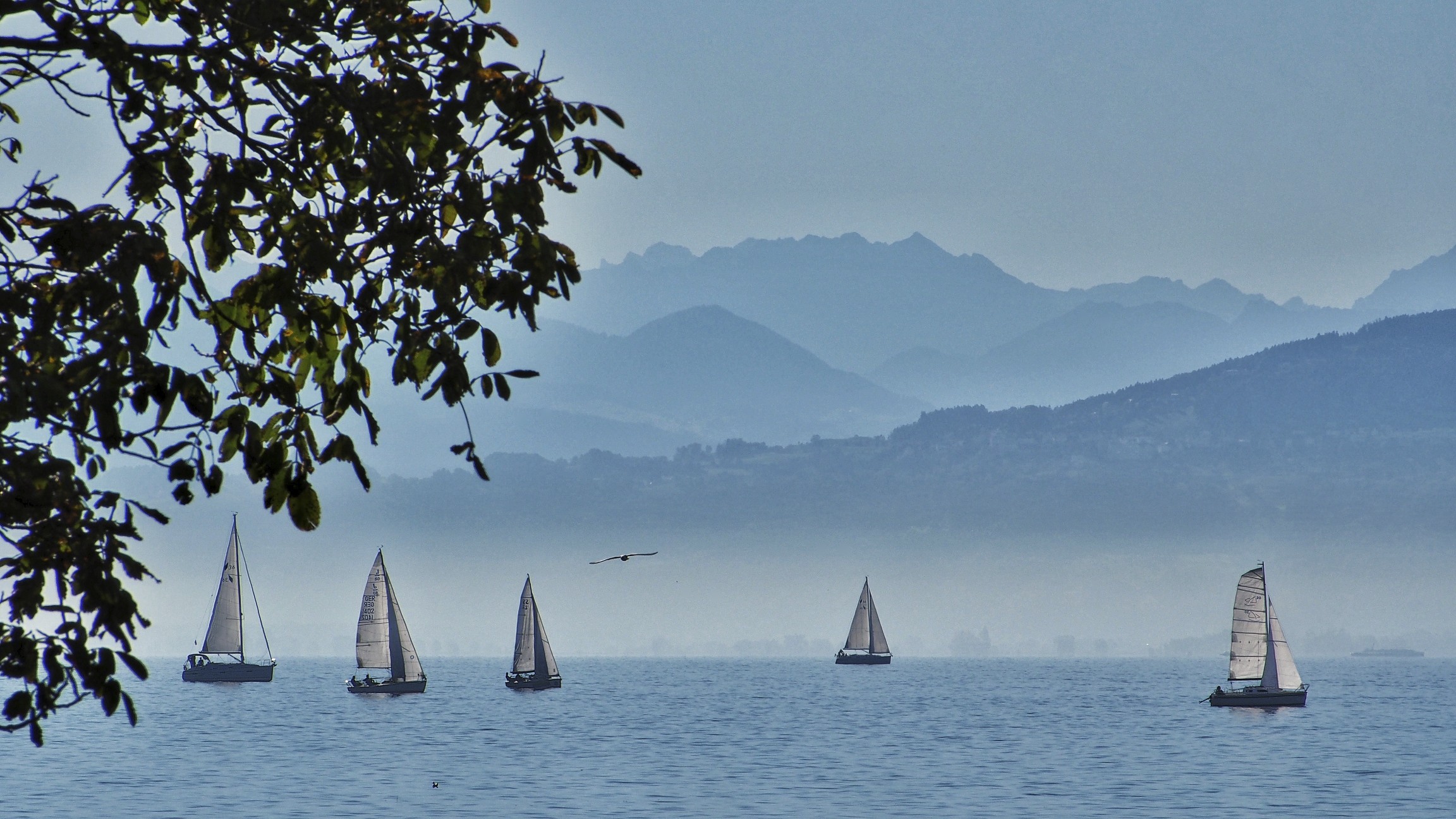    Bodensee, OM-D EM-5      