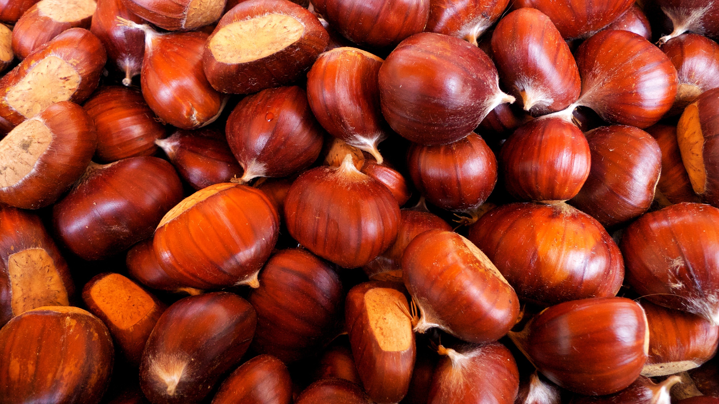    Kronberg Market chestnuts   