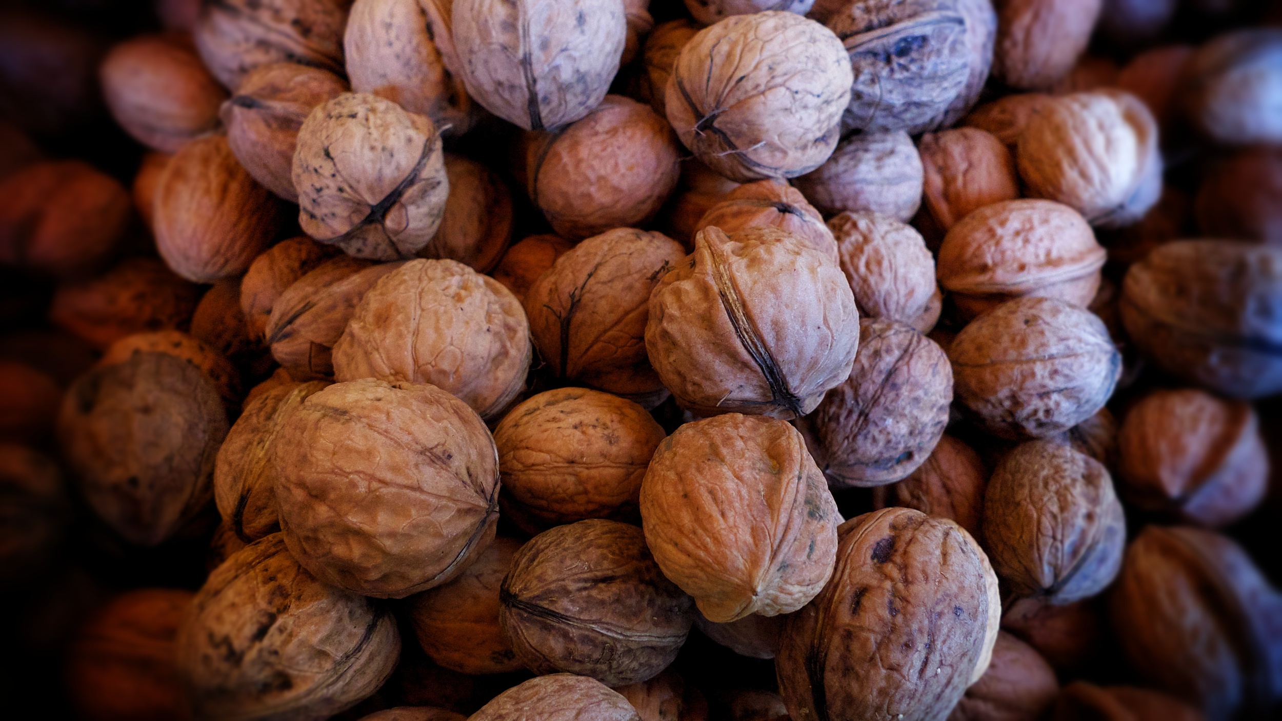    Kronberg Market Chestnuts - from France   