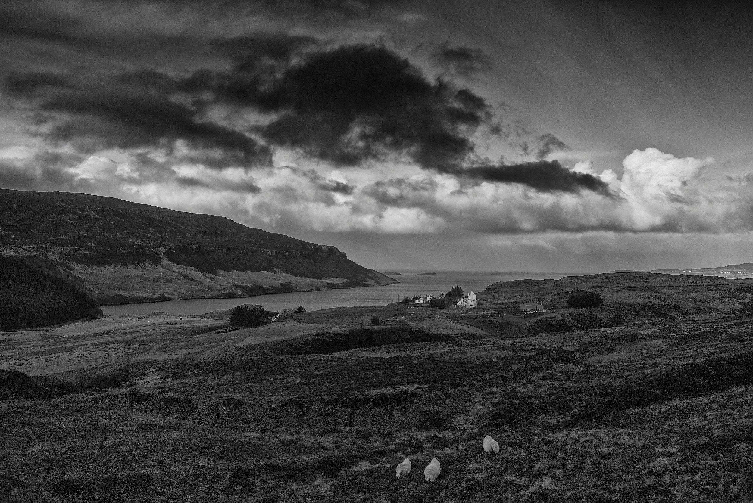    Loch Bay, Skye   