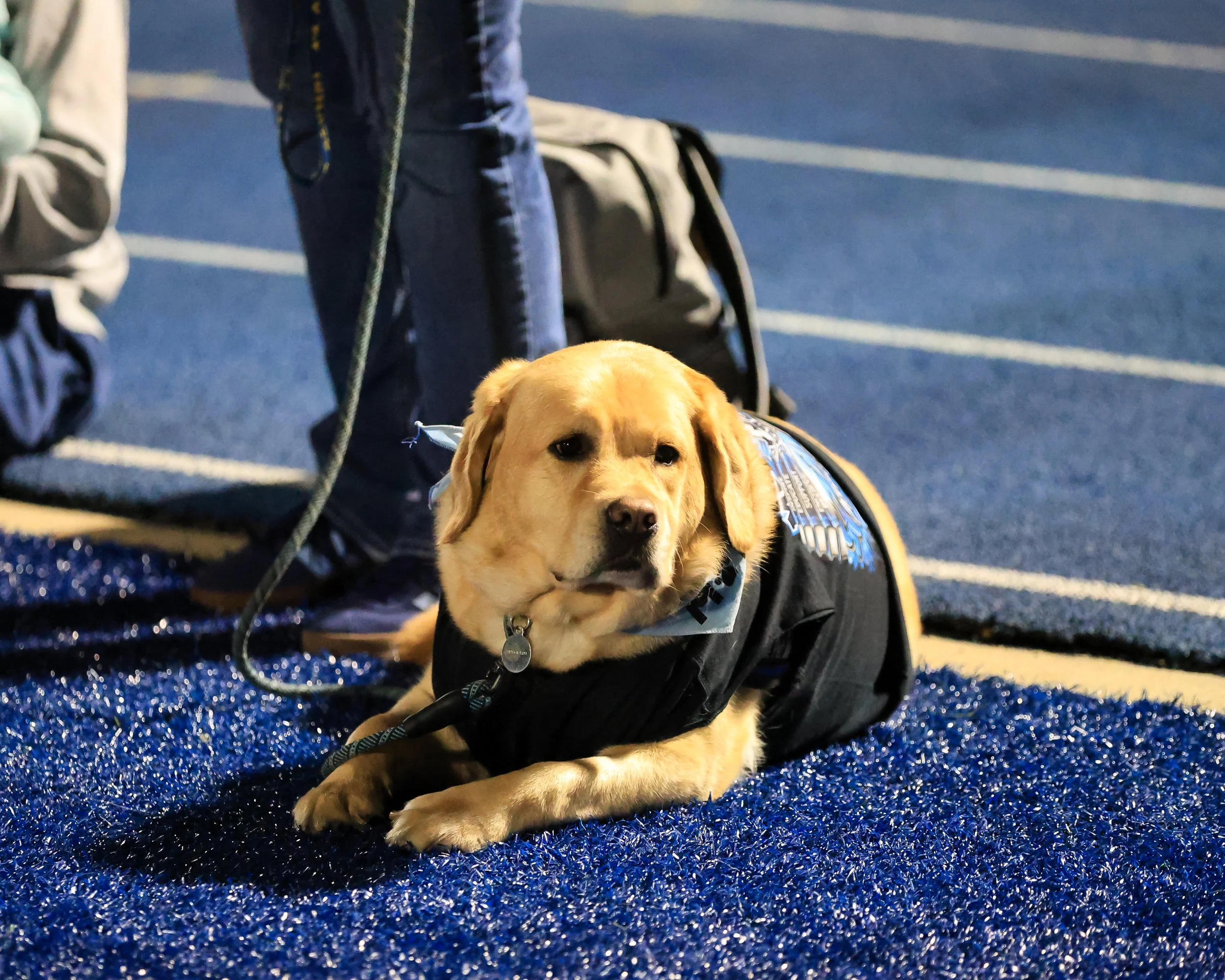 WM Service Dog