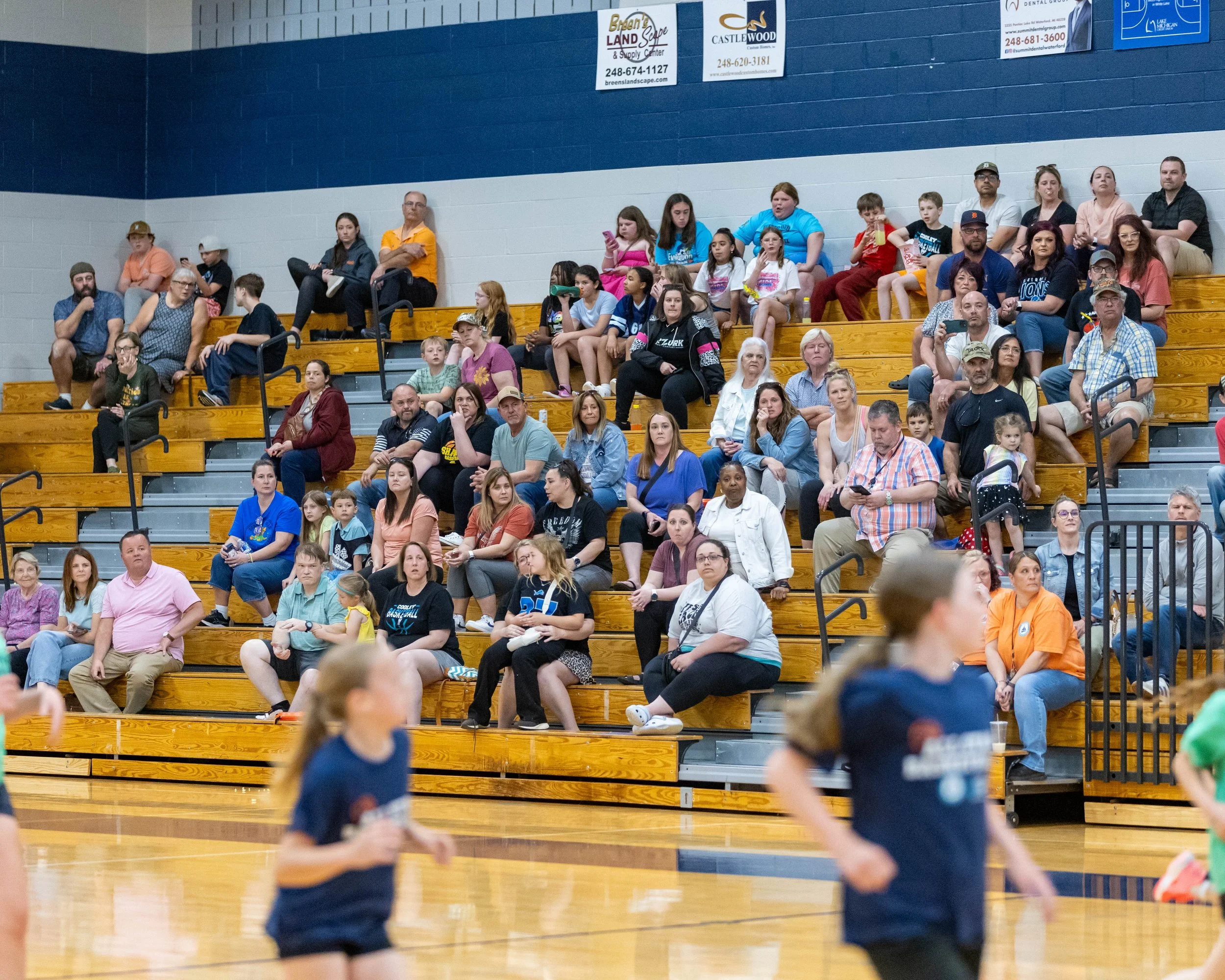 Picture of the South fans