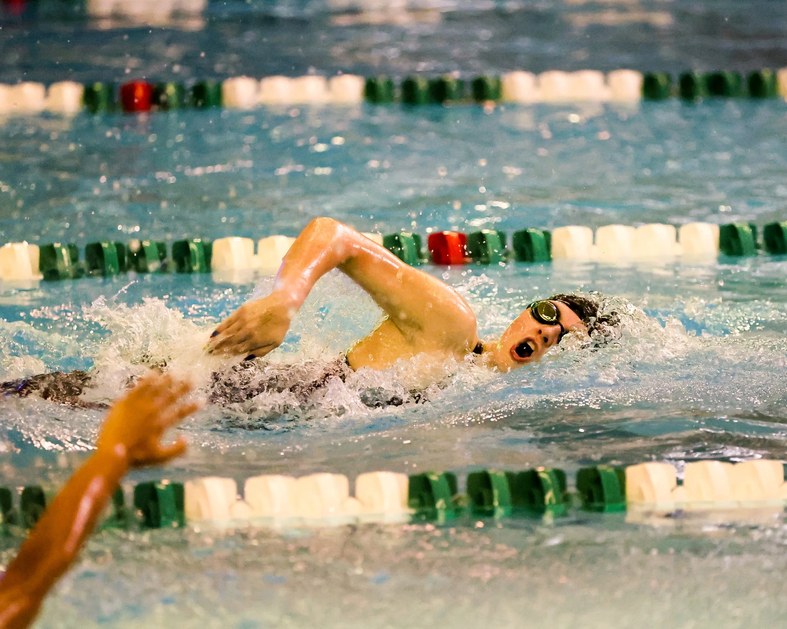 WU swimmer doing the freestyle