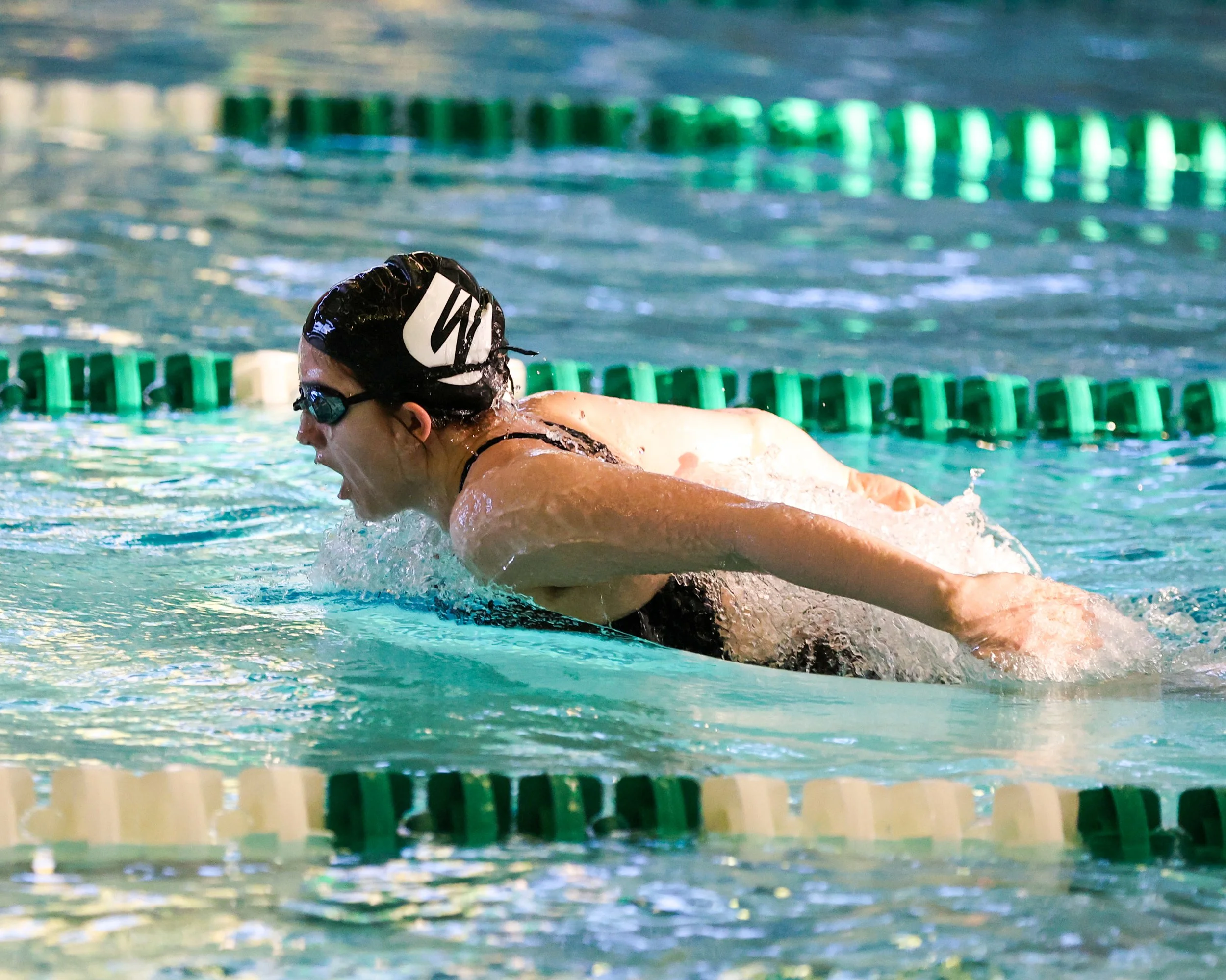WU swimmer doing the butterfly