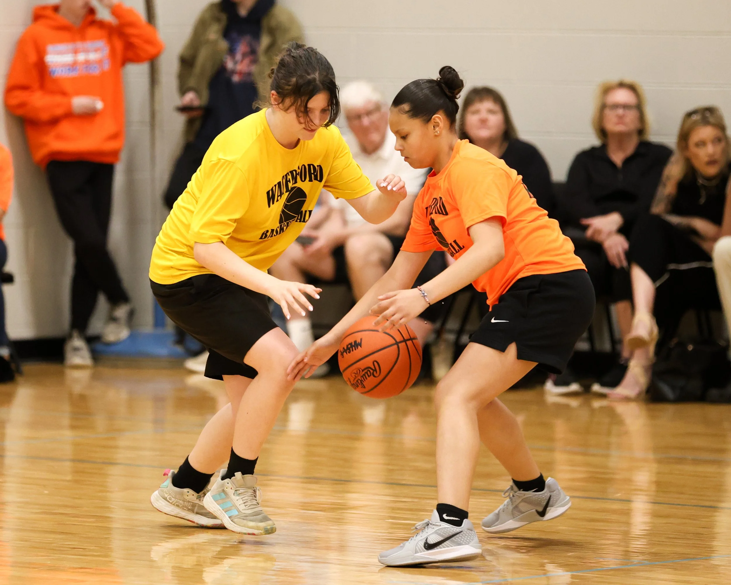 Knudsen girl with the ball guarded by Schoolcrafrt girl
