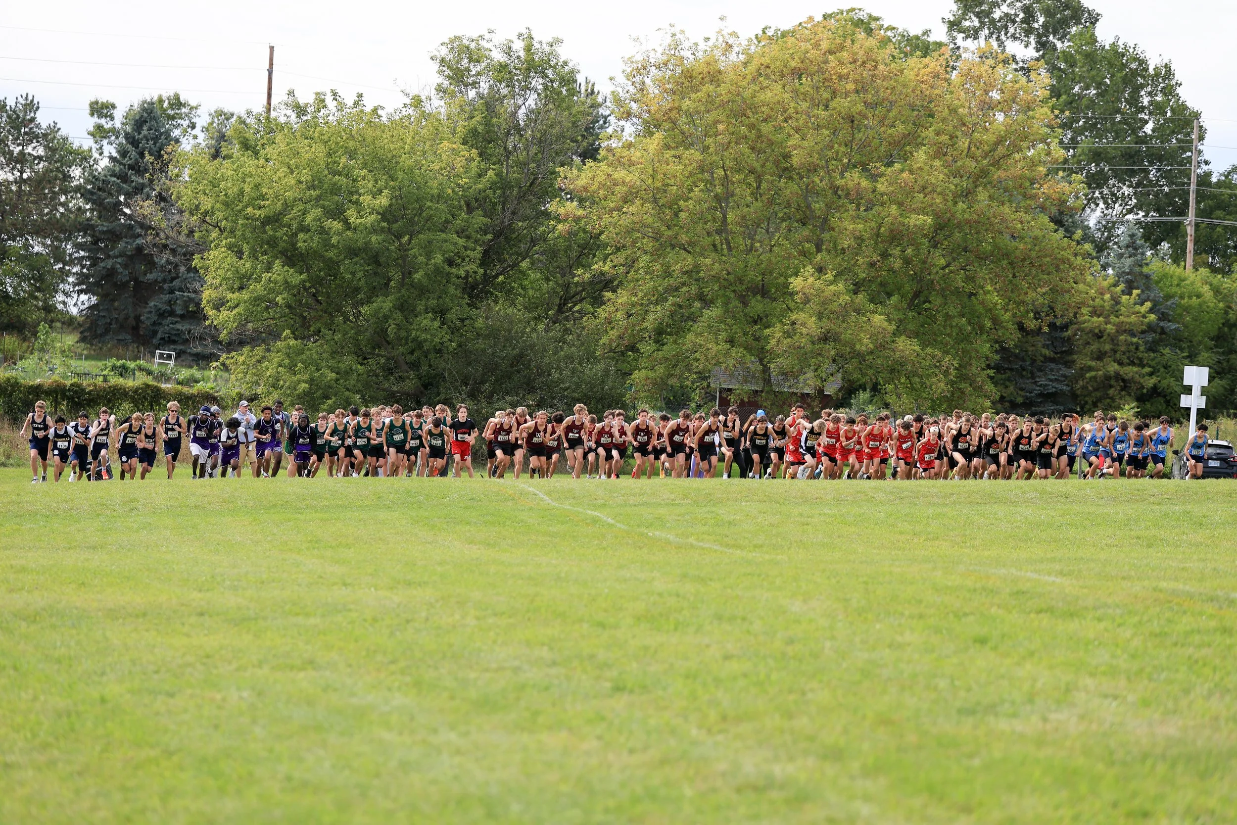 Runners waiting for starter