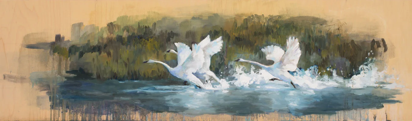 Three Swans