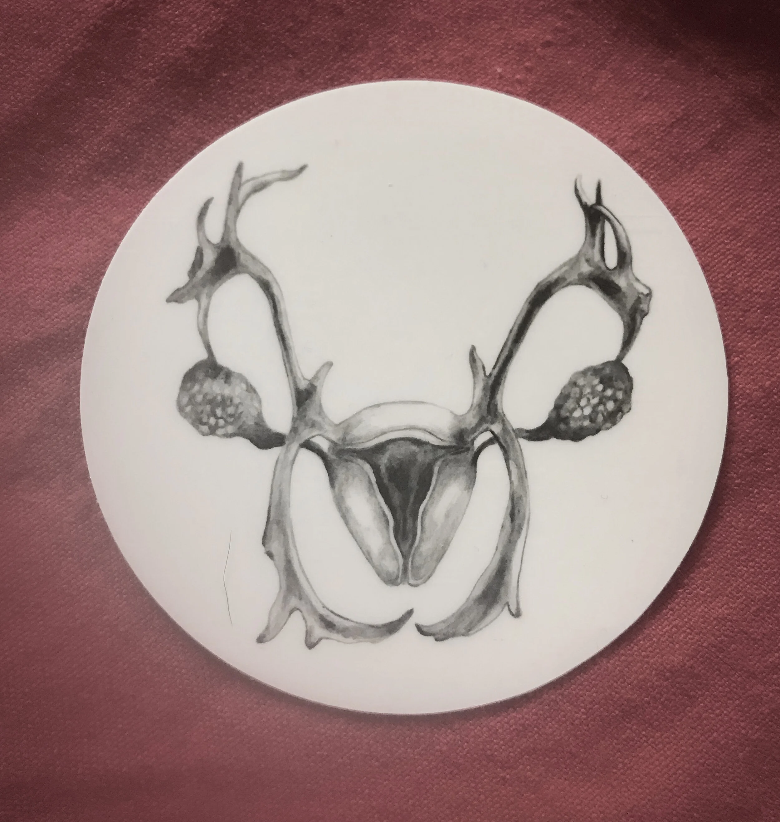 1 UI sticker .jpg