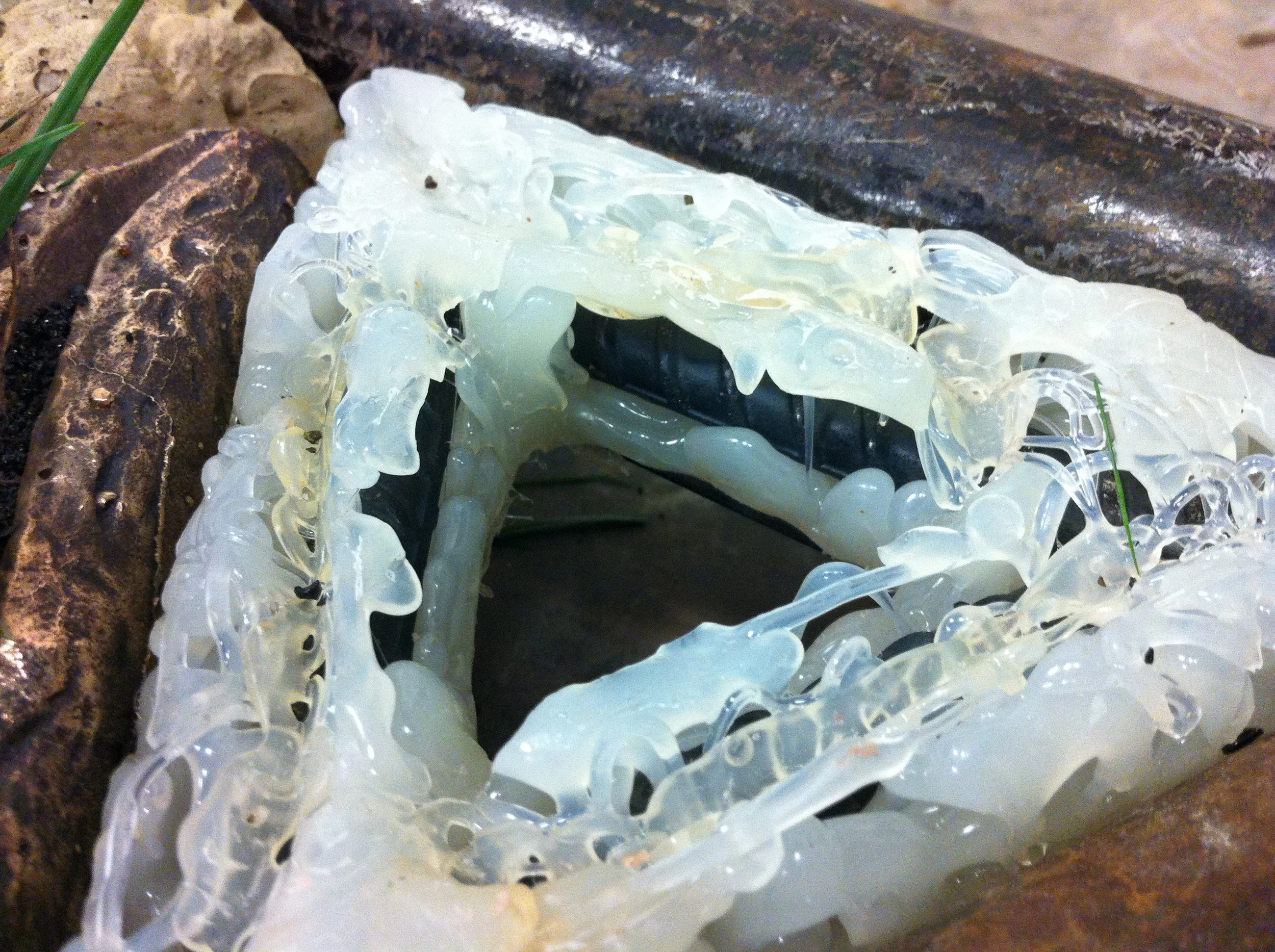 Rebar Cast in Resin Paver