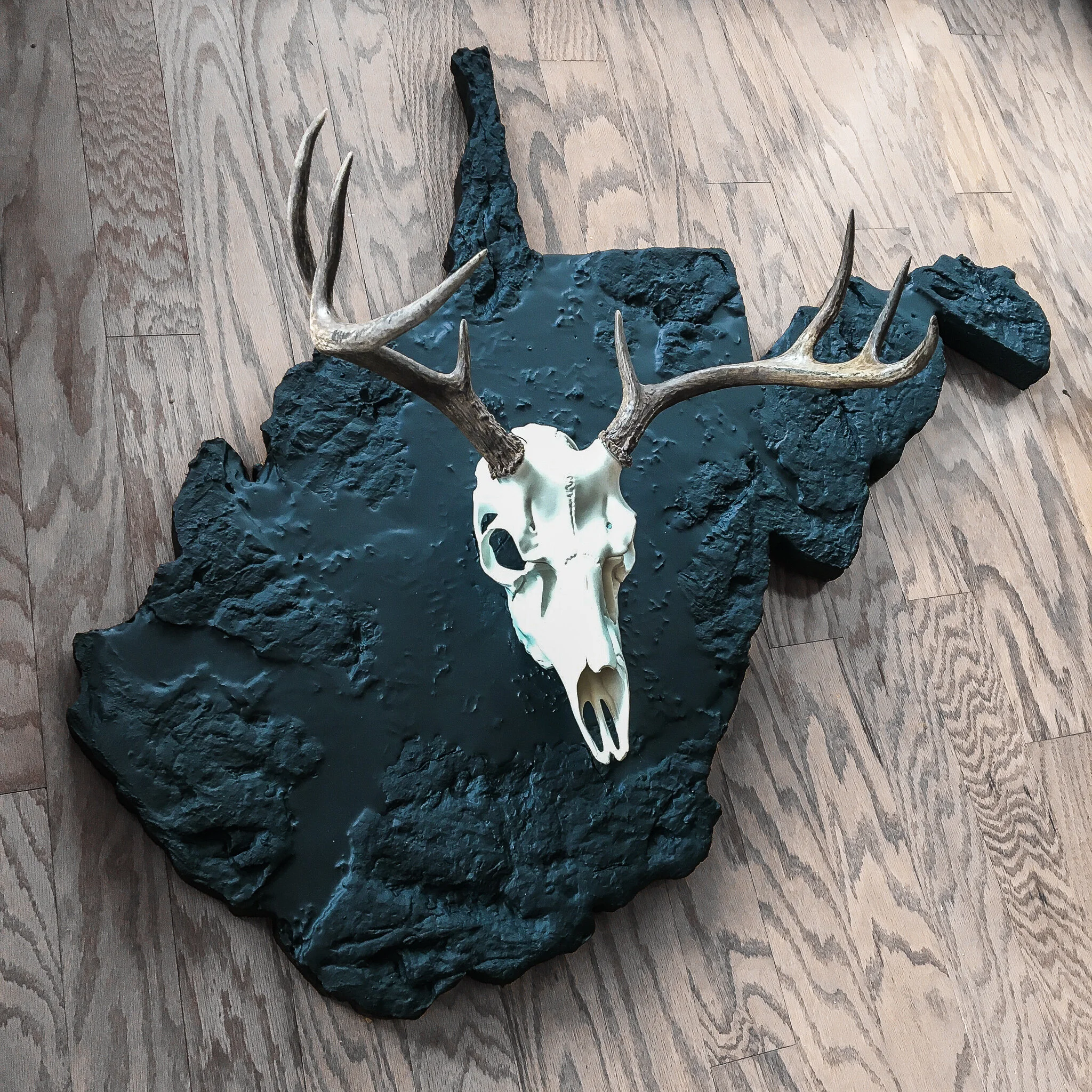 West Virginia European Deer Mount 