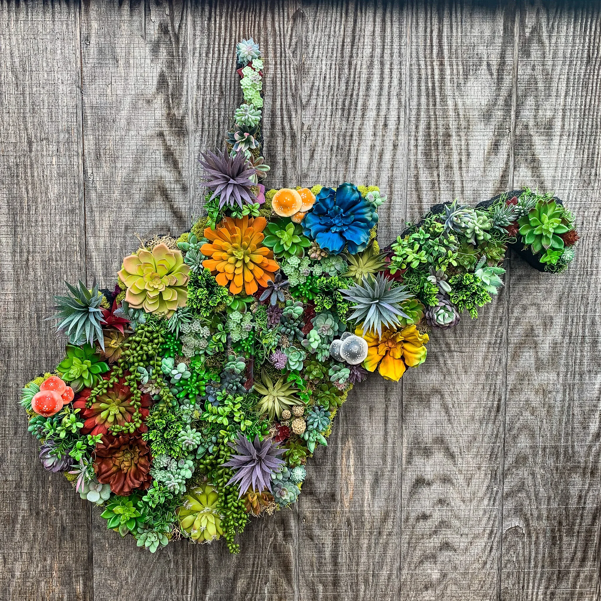 West Virginia-Living Wall 