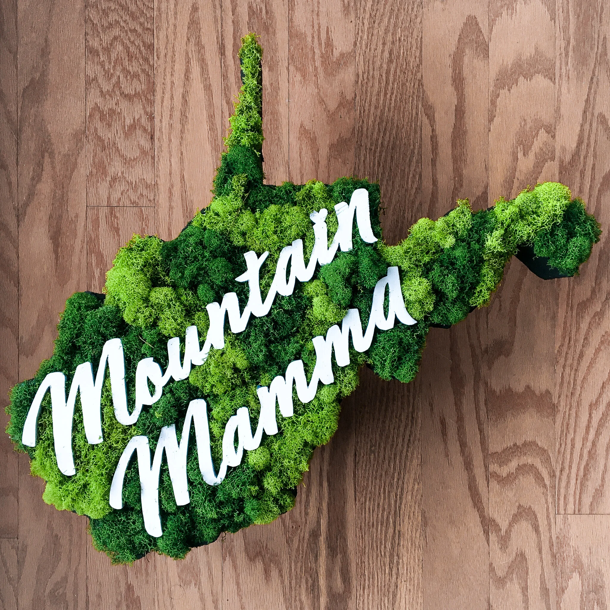 Mountain Momma-West Virginia Moss 