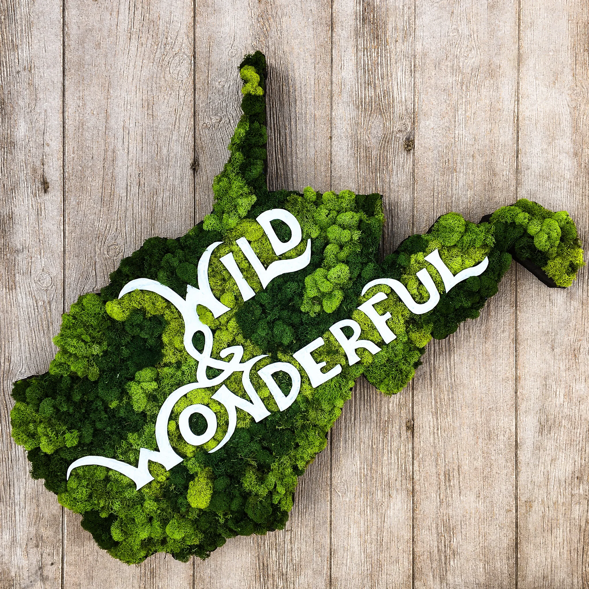 Wild &amp; Wonderful - West Virginia Moss Wall 