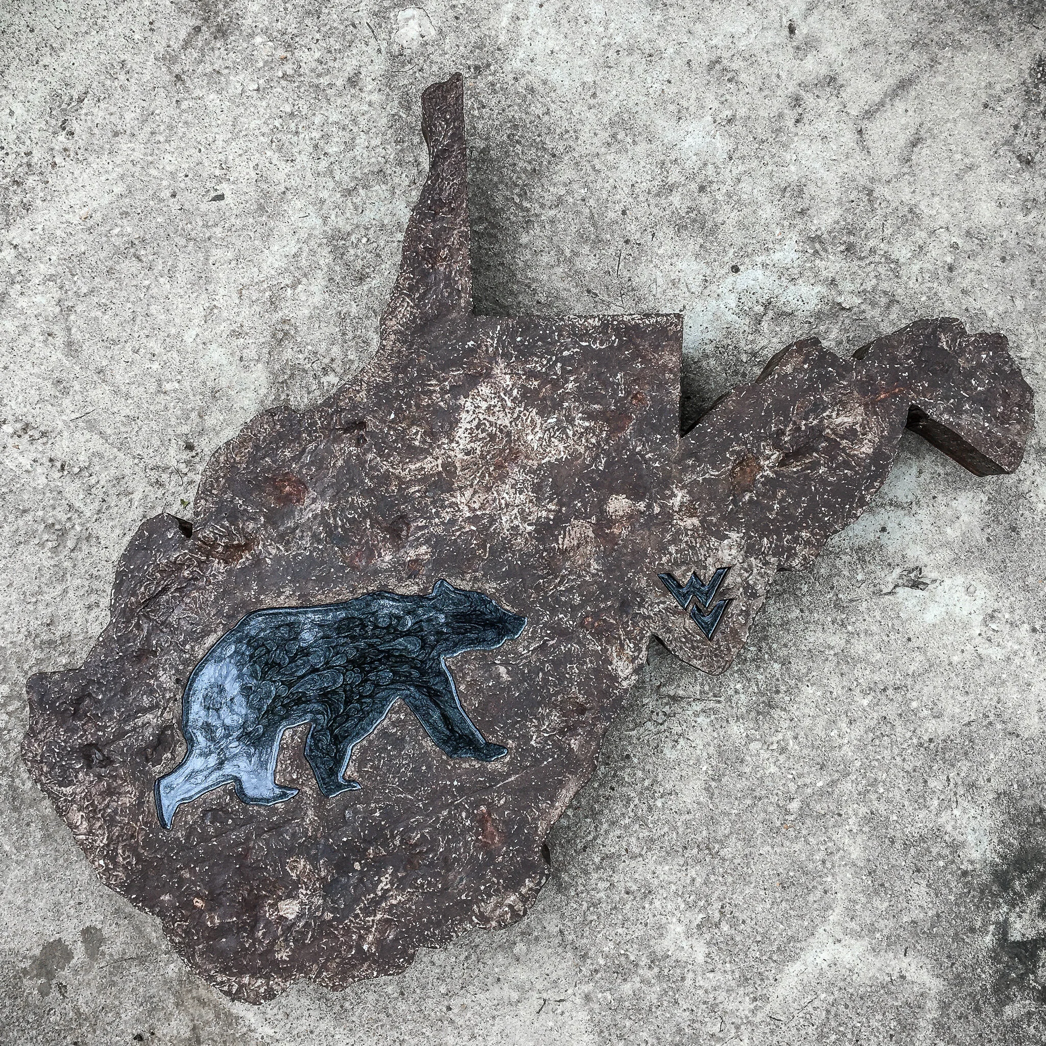 West Virginia Black Bear