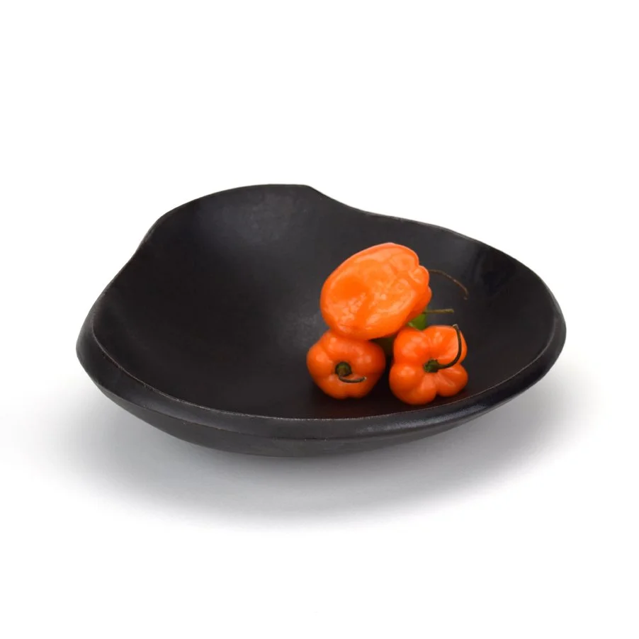 Scoop RC Black a.jpg