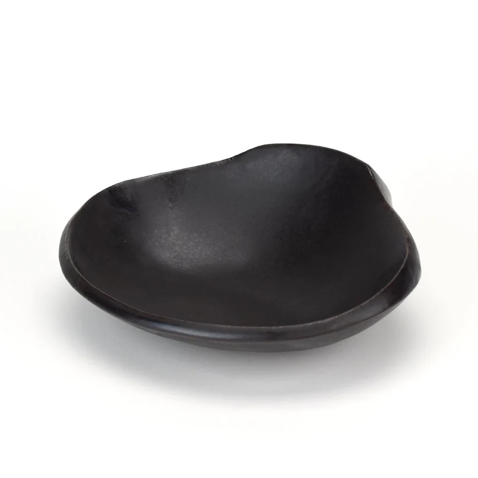 Scoop RC Black c.jpg