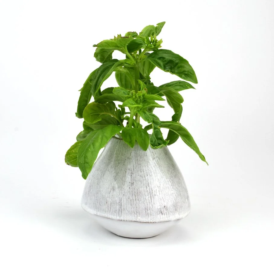 sm cone vase RC lines a.jpg