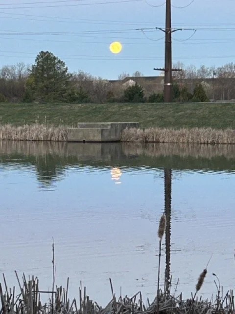 IMG_2961 Medium.jpeg