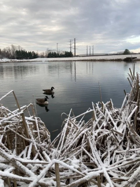 IMG_8582 Medium.jpeg