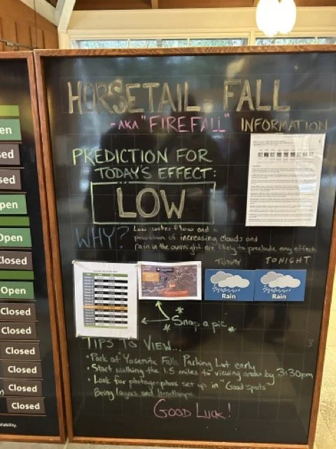 IMG_2615 Medium.jpeg