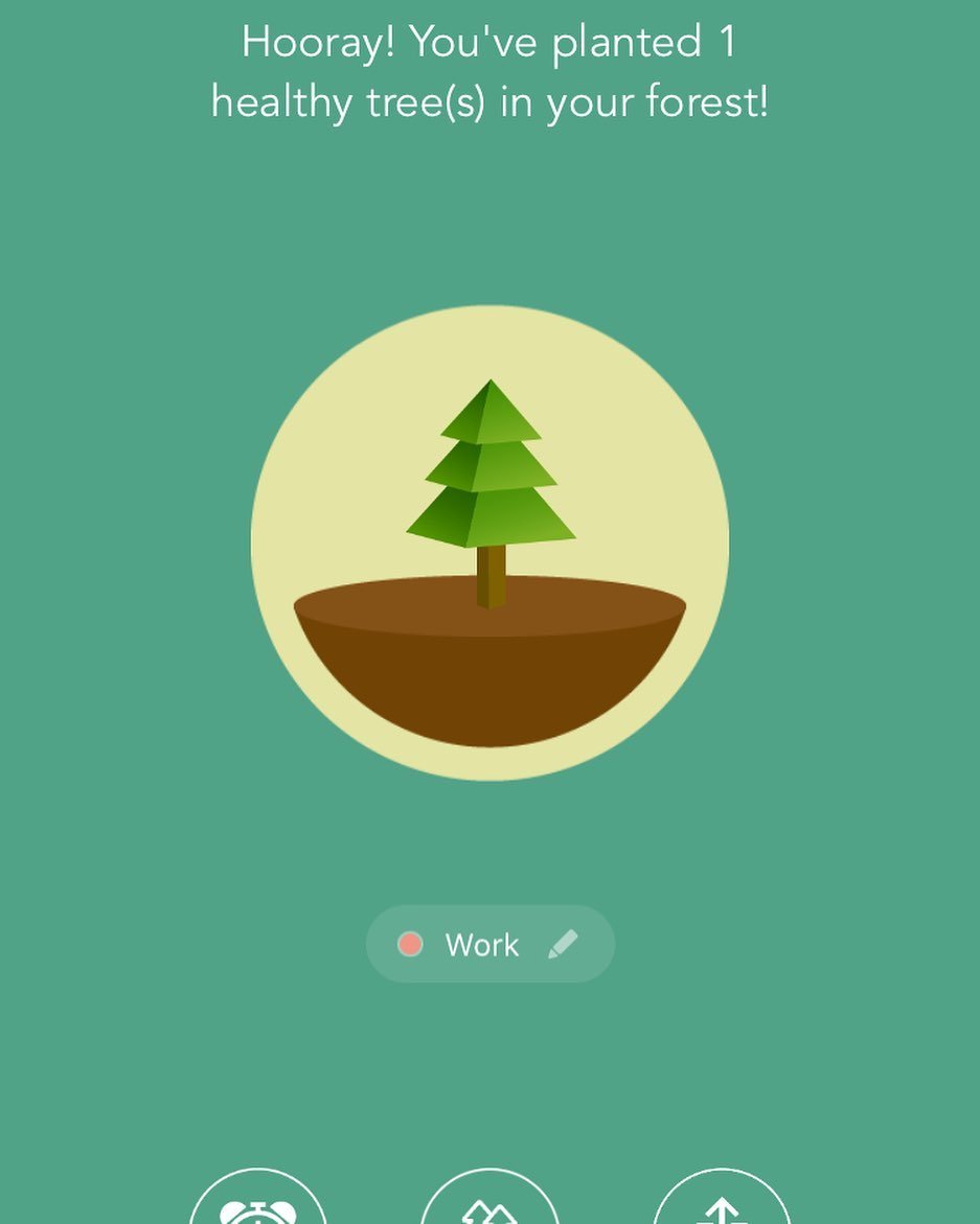 Used the Forest App today to make myself focus for 15 minutes on a single thing I&rsquo;ve been procrastinating on. So satisfying to grow my little tree!