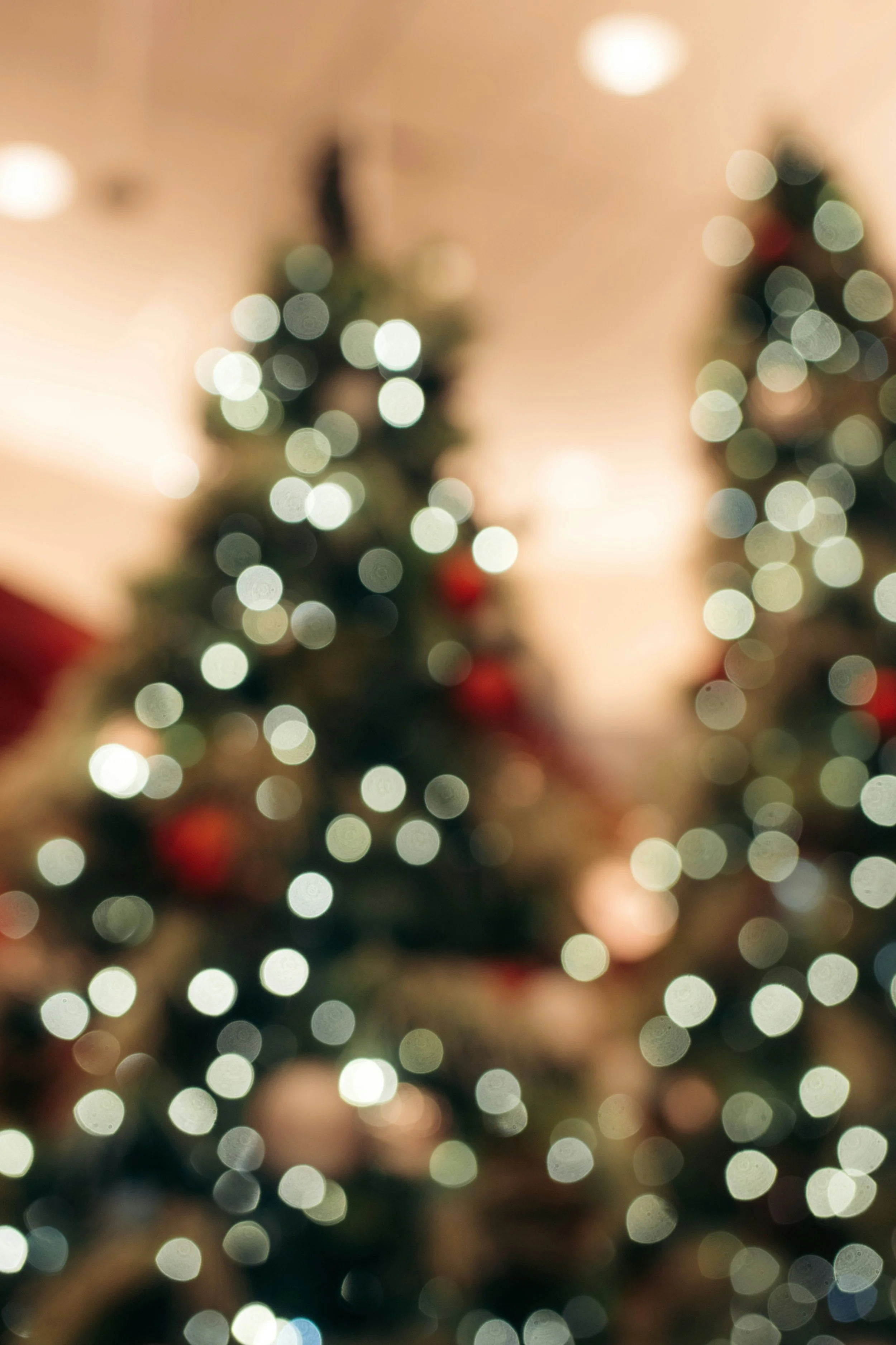 The Alternative Holiday Tree