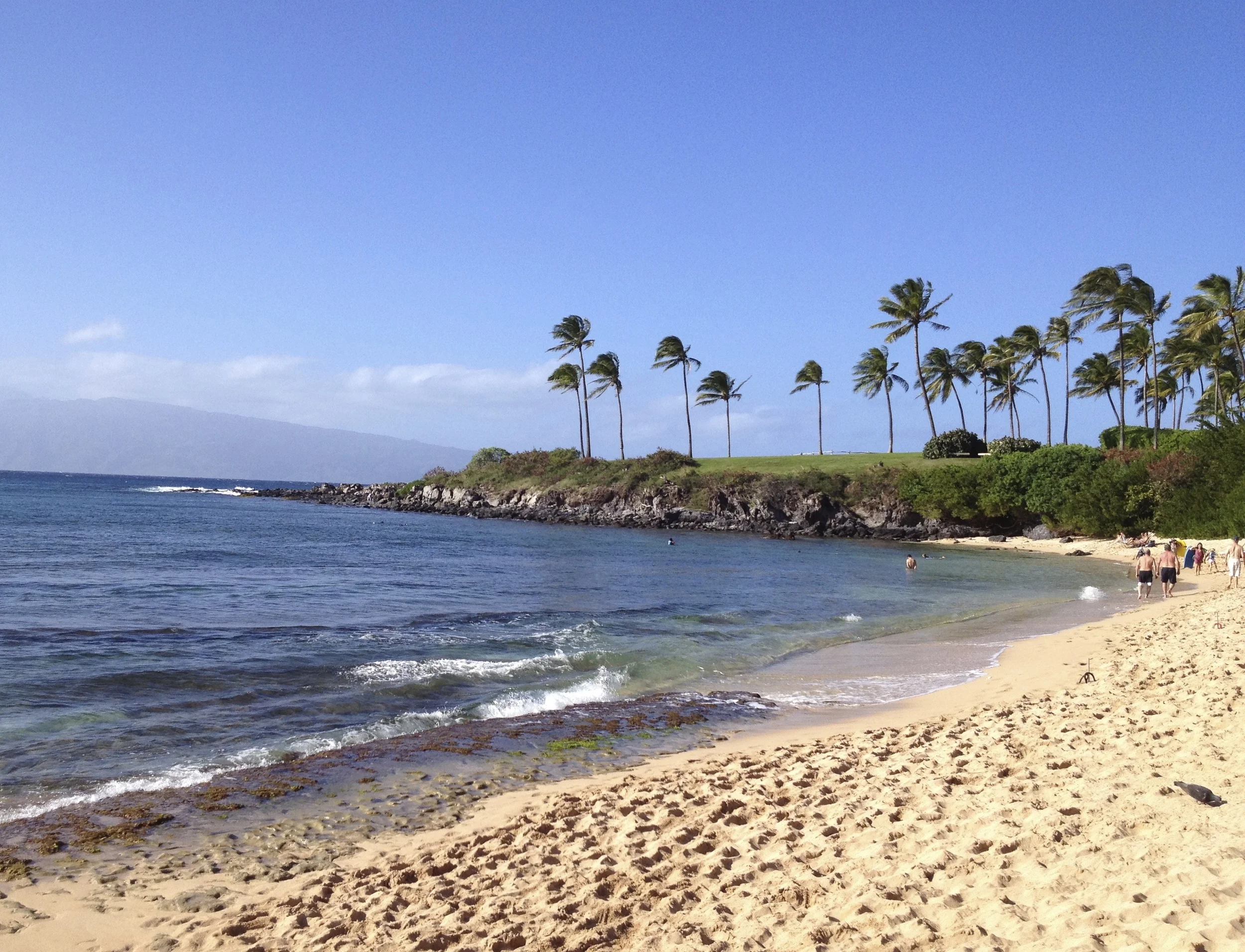Maui, February 2013