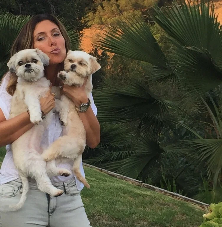 saw palmetto for dogs