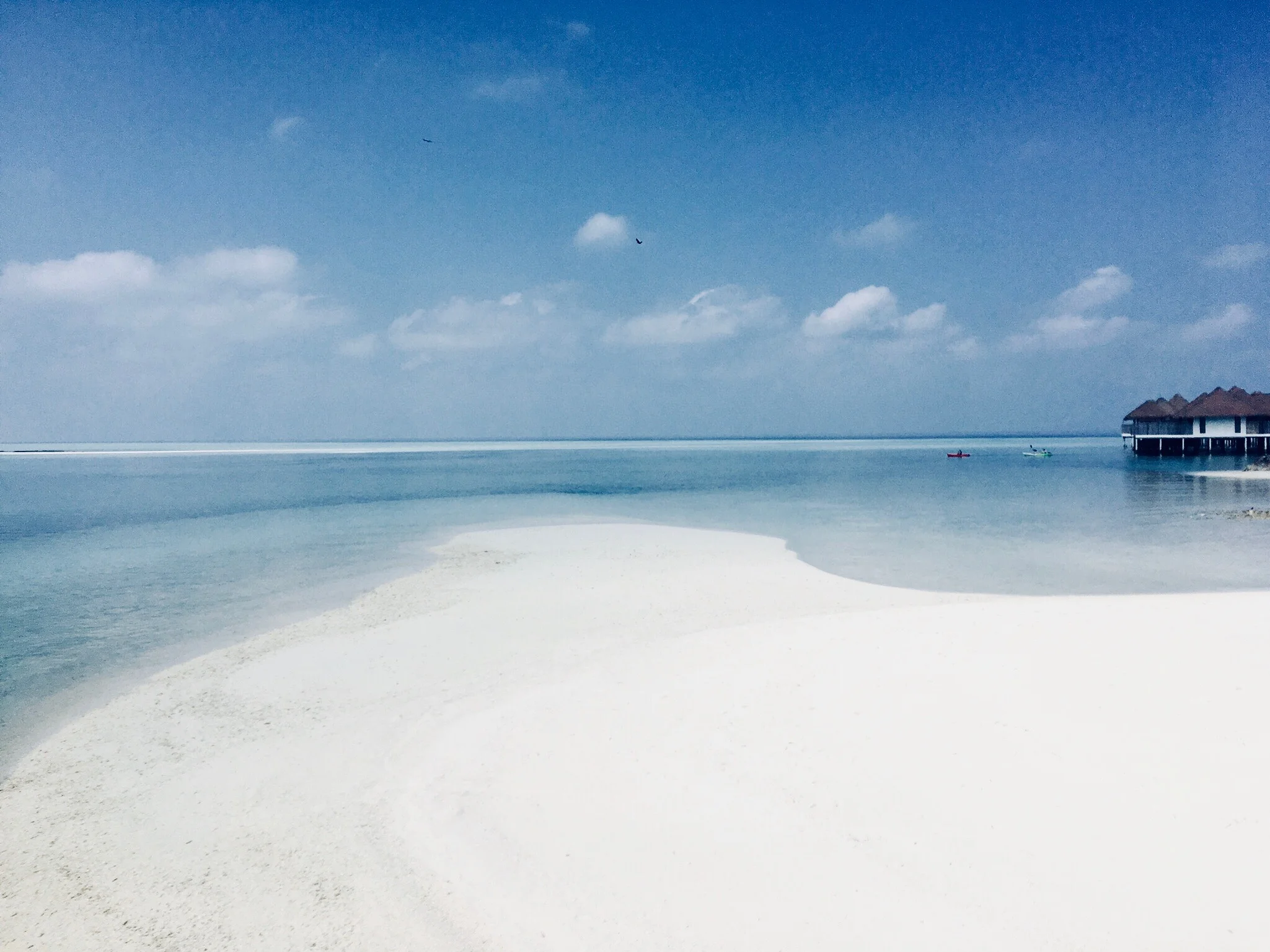 IMG_3488.jpeg