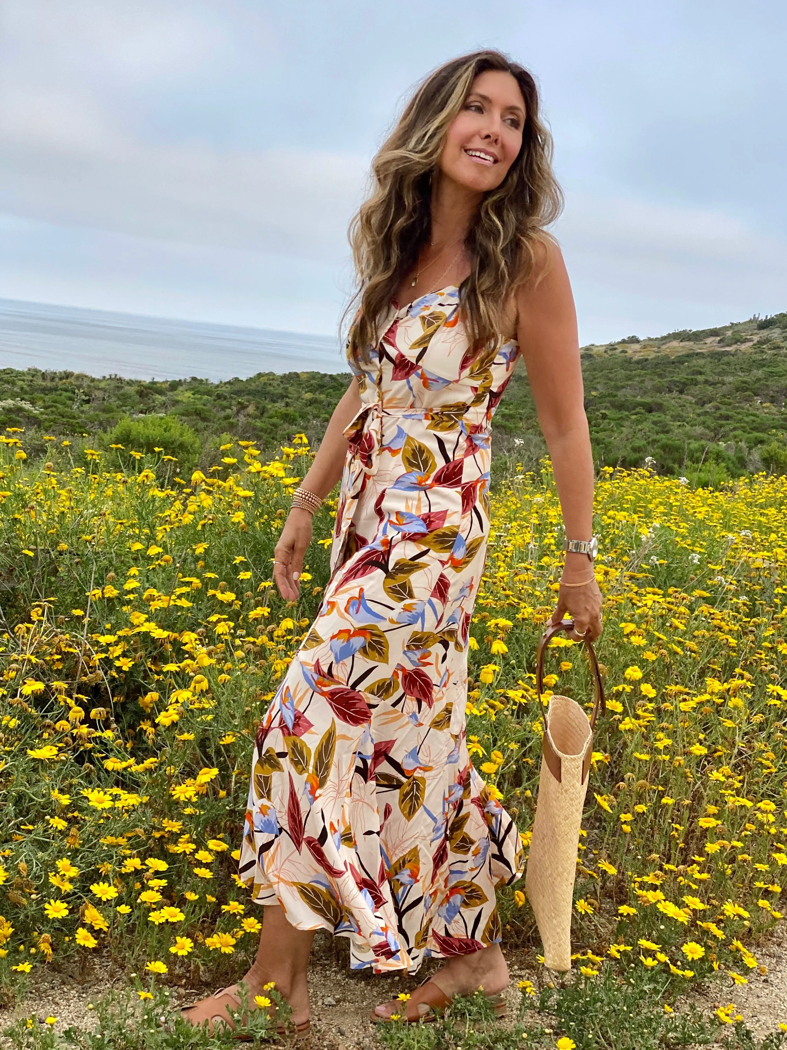 rag and bone janet dress