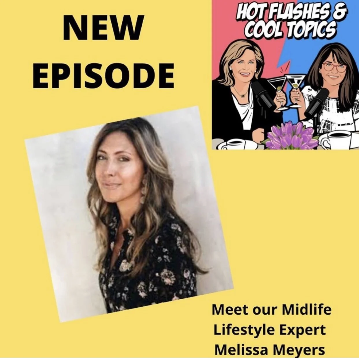 Podcast: Hot Flashes &amp; Cool Topics