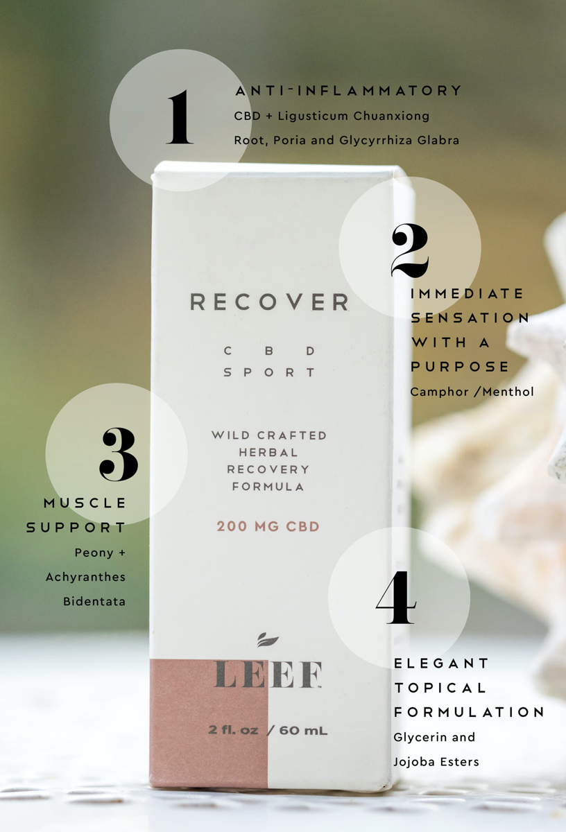 Leef Organics Recover CBD Sport Herbal Recovery Formula - Full-spectrum, whole plant CBD blended with wildcrafted herbs that offers an herbal approach to recovery to help provide relief to aches and pains