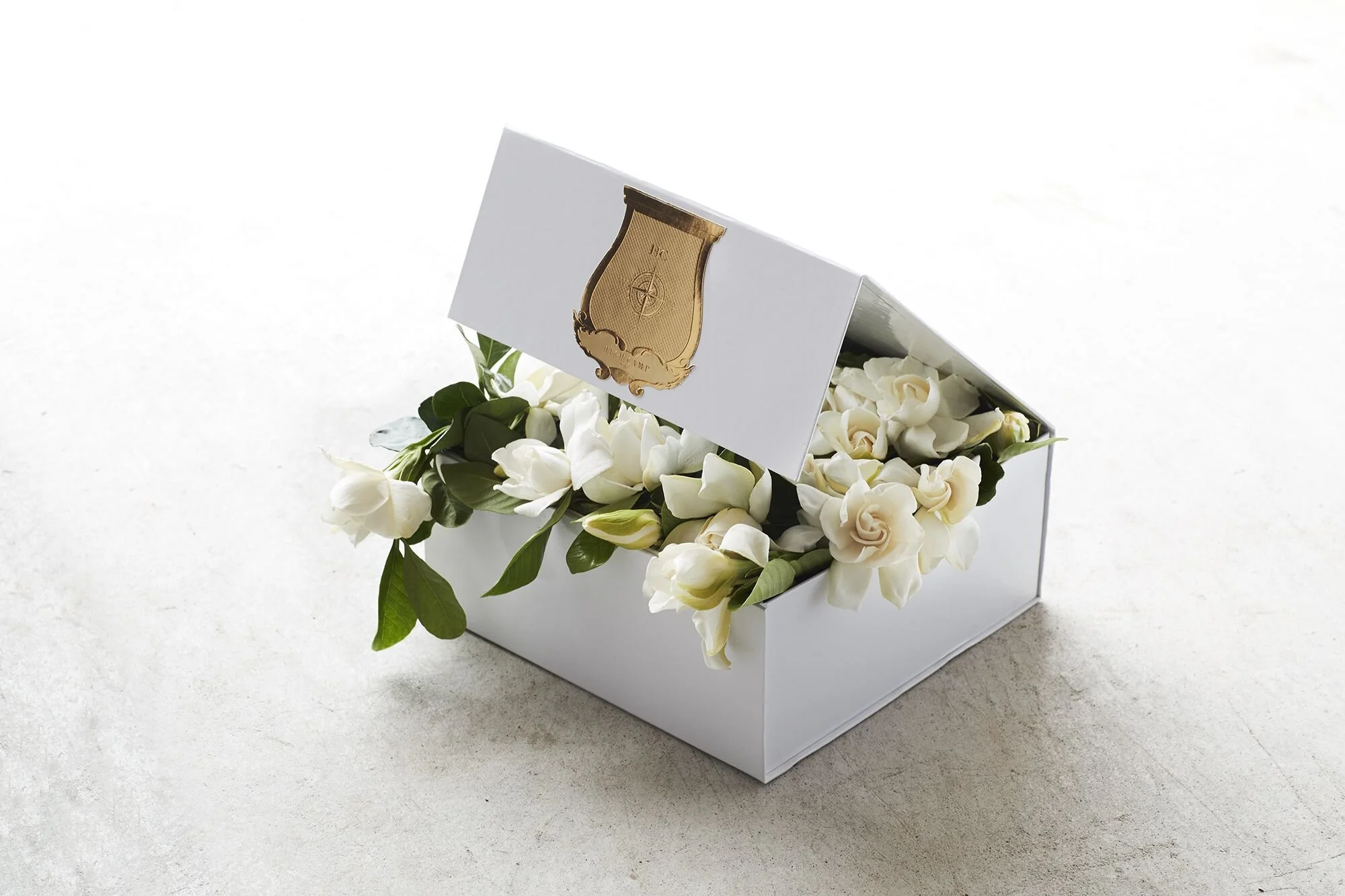 vine_bloom-white-2_dae6f64d-ca94-4b11-a2ce-6ea665e9ae96_1024x1024@2x.jpg