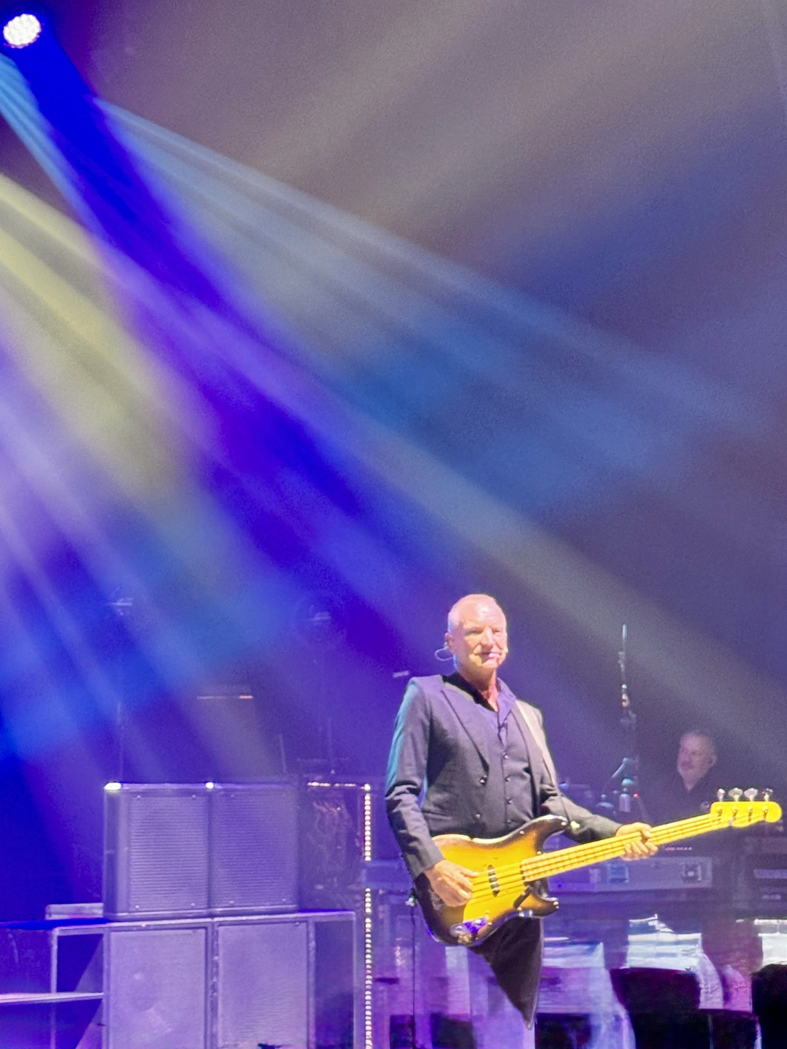 Sting at the Waldorf Astoria