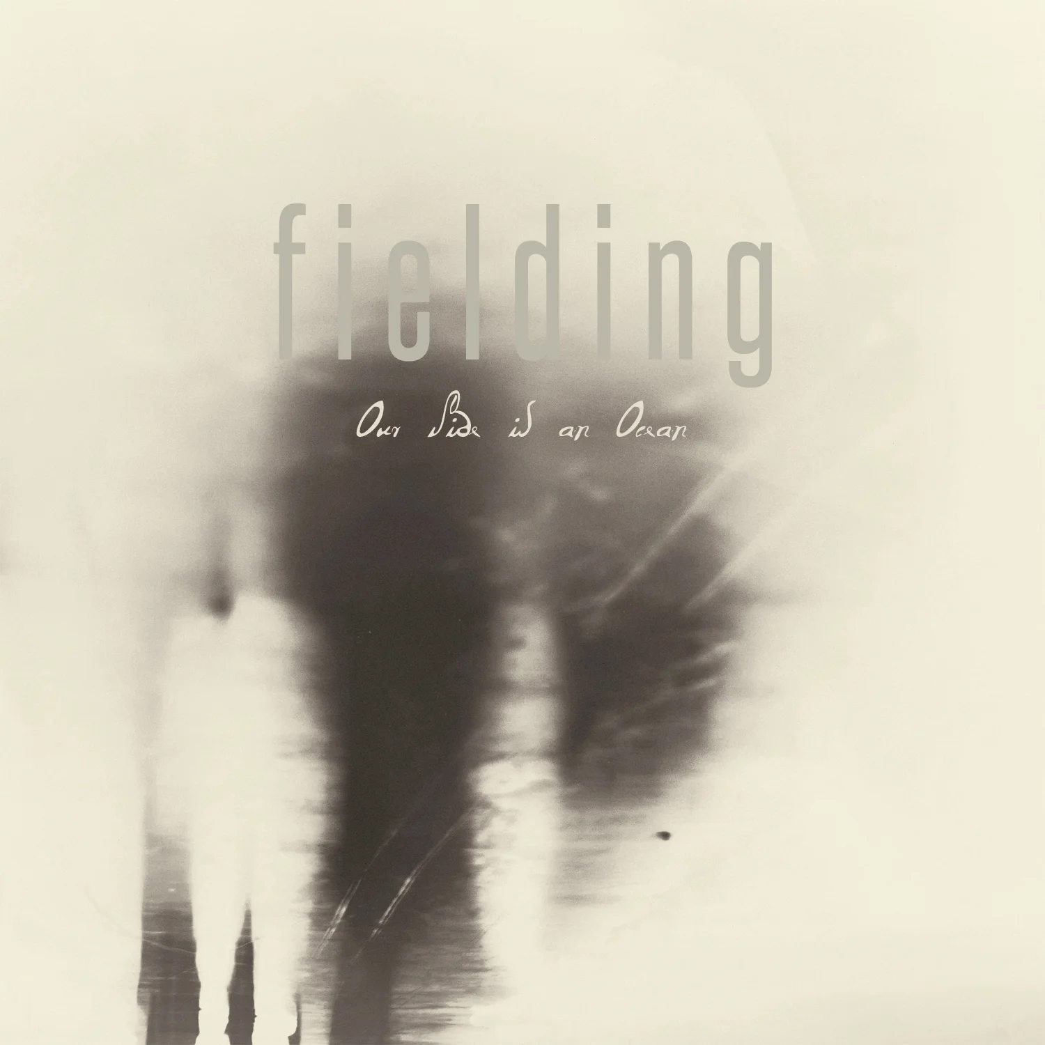fieldingcover.jpg