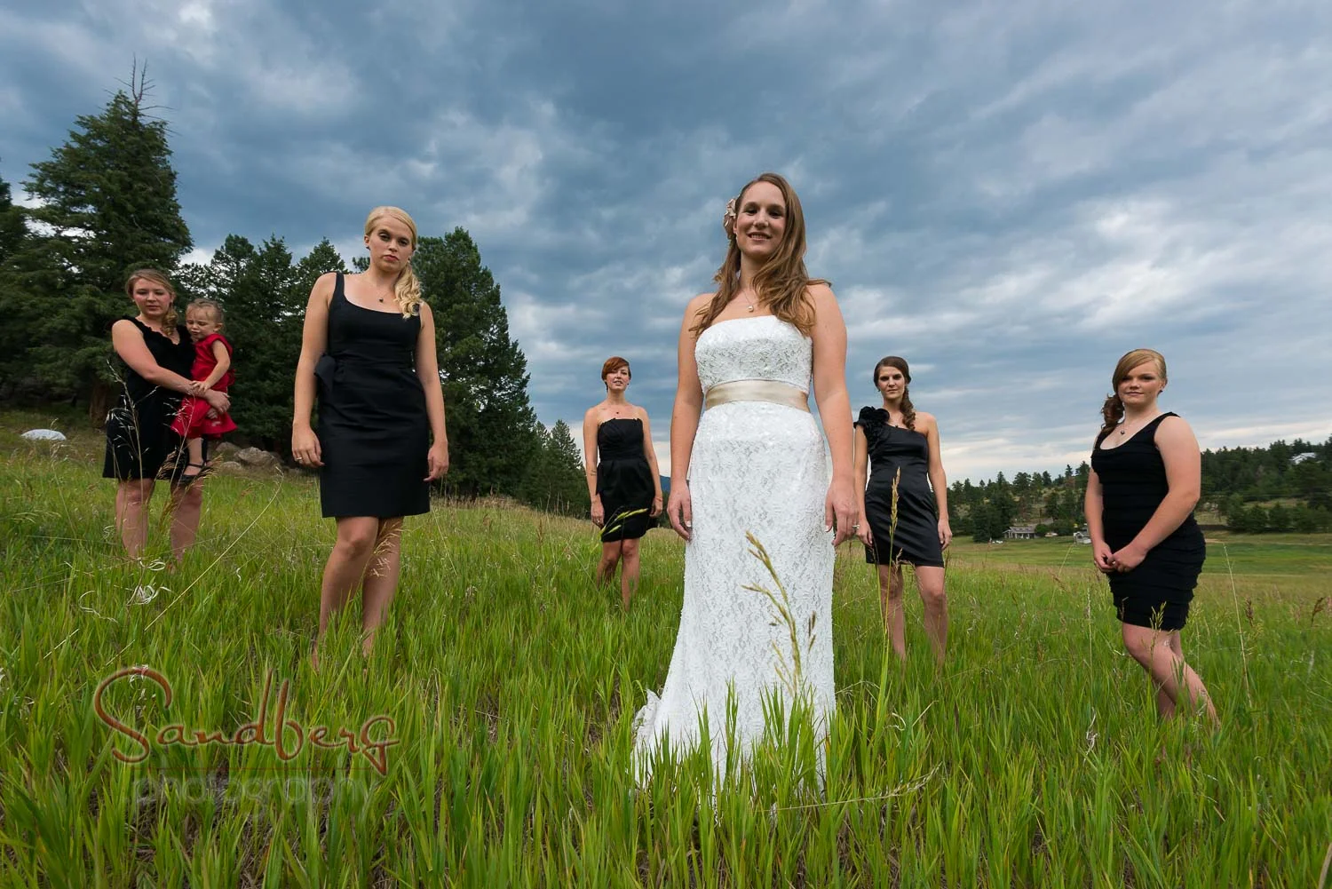 Wedding Photography